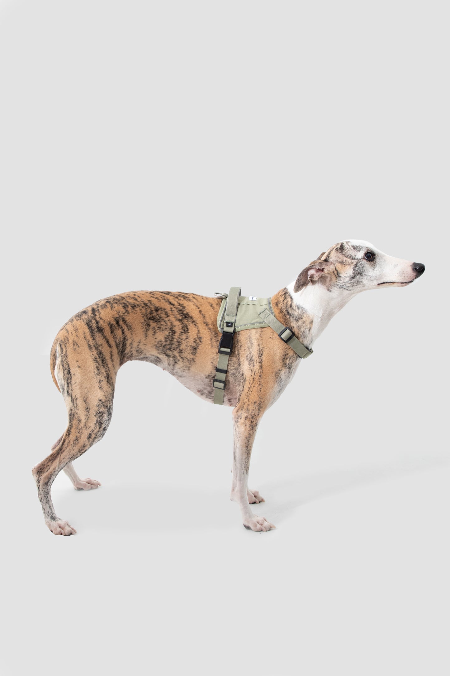 Valley Series|Quick-Fit Anti-Pull Big Harness For Dog