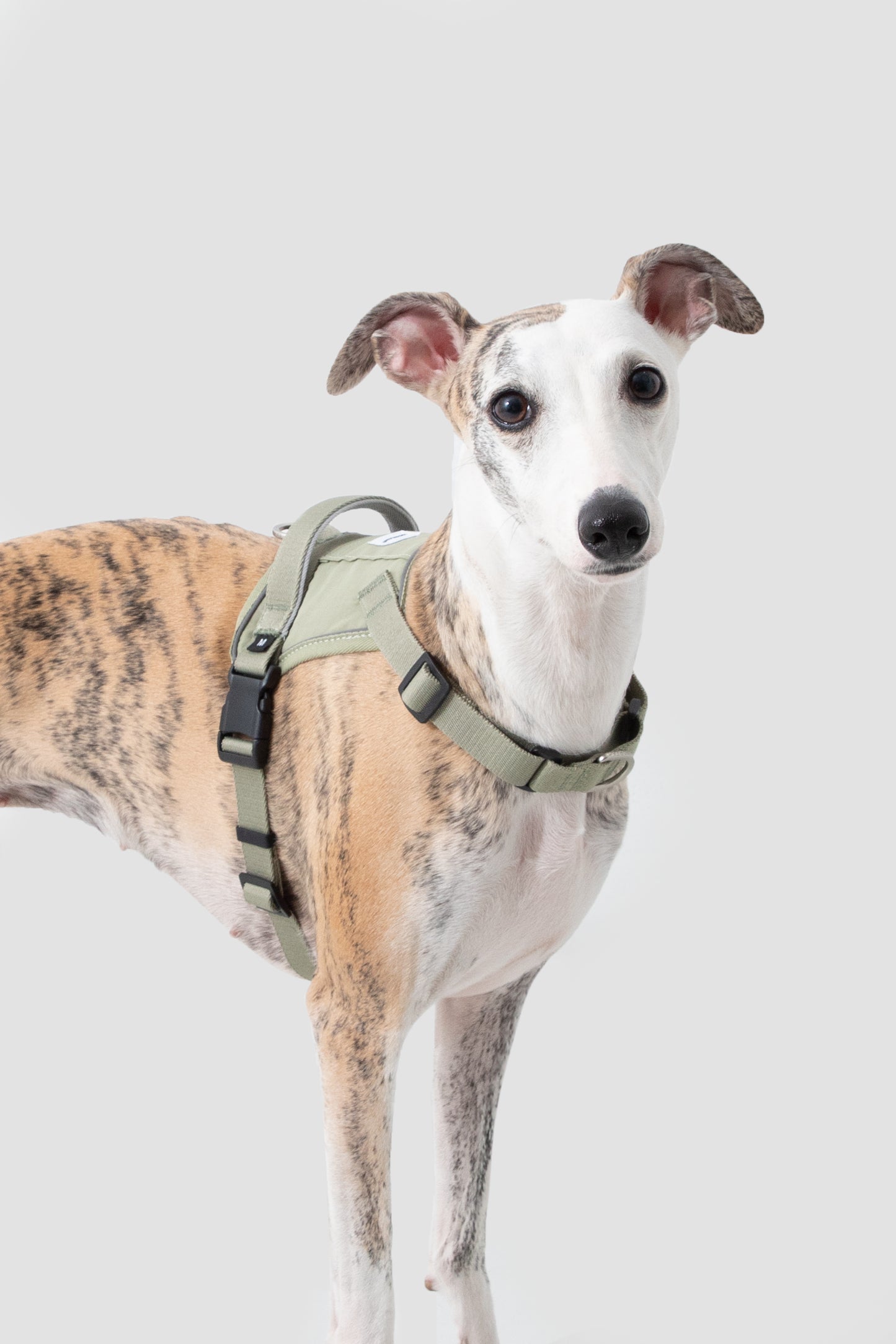 Valley Series|Quick-Fit Anti-Pull Big Harness For Dog