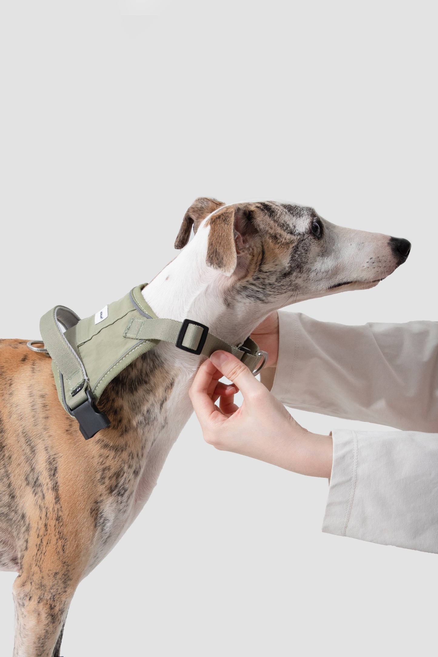 Valley Series|Quick-Fit Anti-Pull Big Harness For Dog