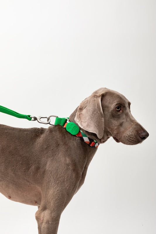 Semi-P Adjustable Dog In Collar with Quick-Release