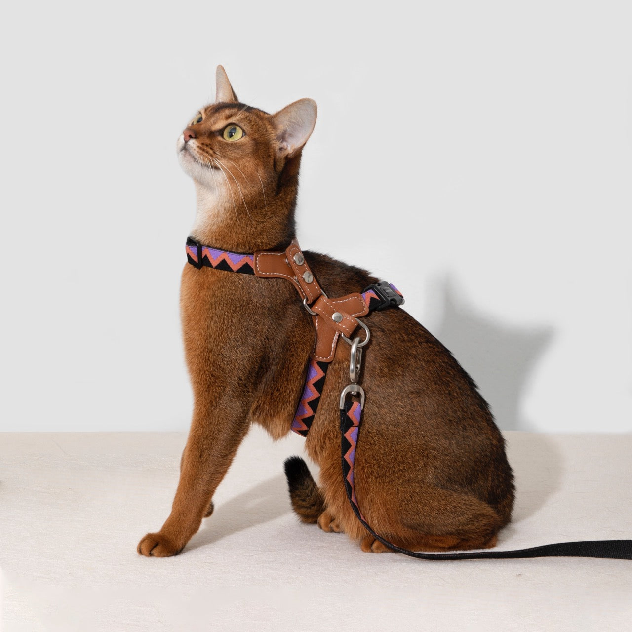 Bobo Series cat chest and back leash set