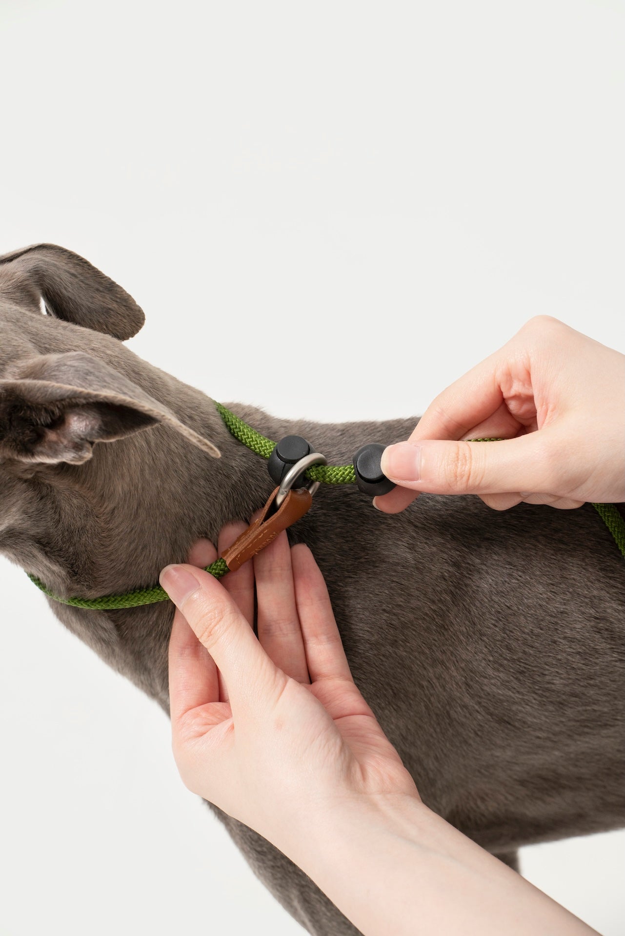 Leather Handle P-Rope Leash for Dogs