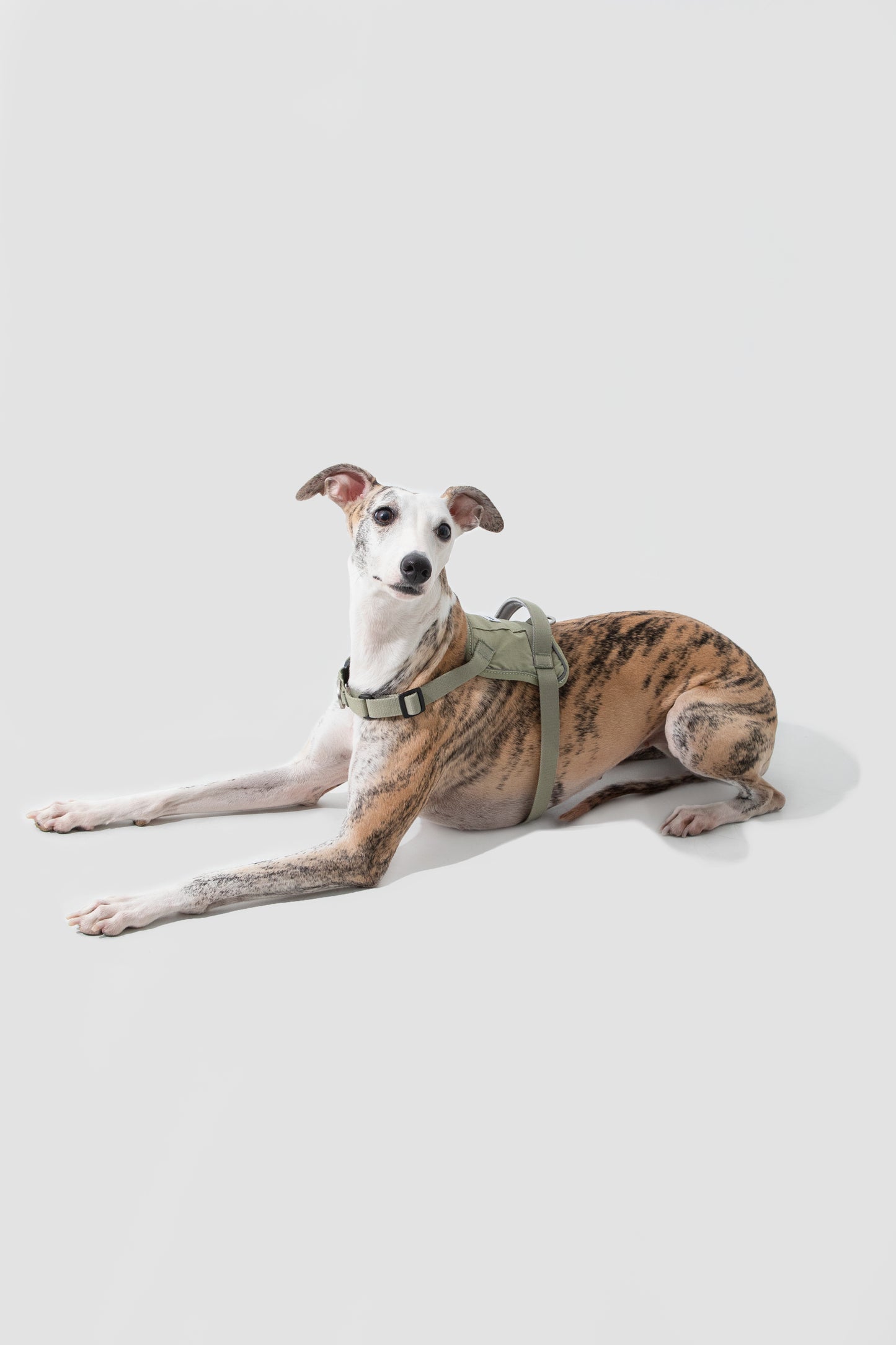 Valley Series|Quick-Fit Anti-Pull Big Harness For Dog
