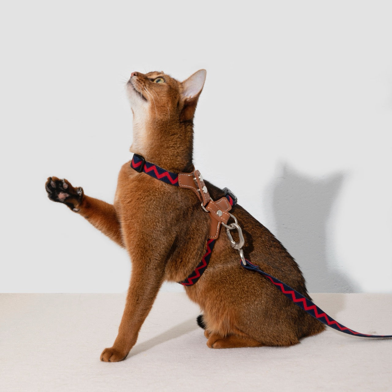 Bobo Series cat chest and back leash set