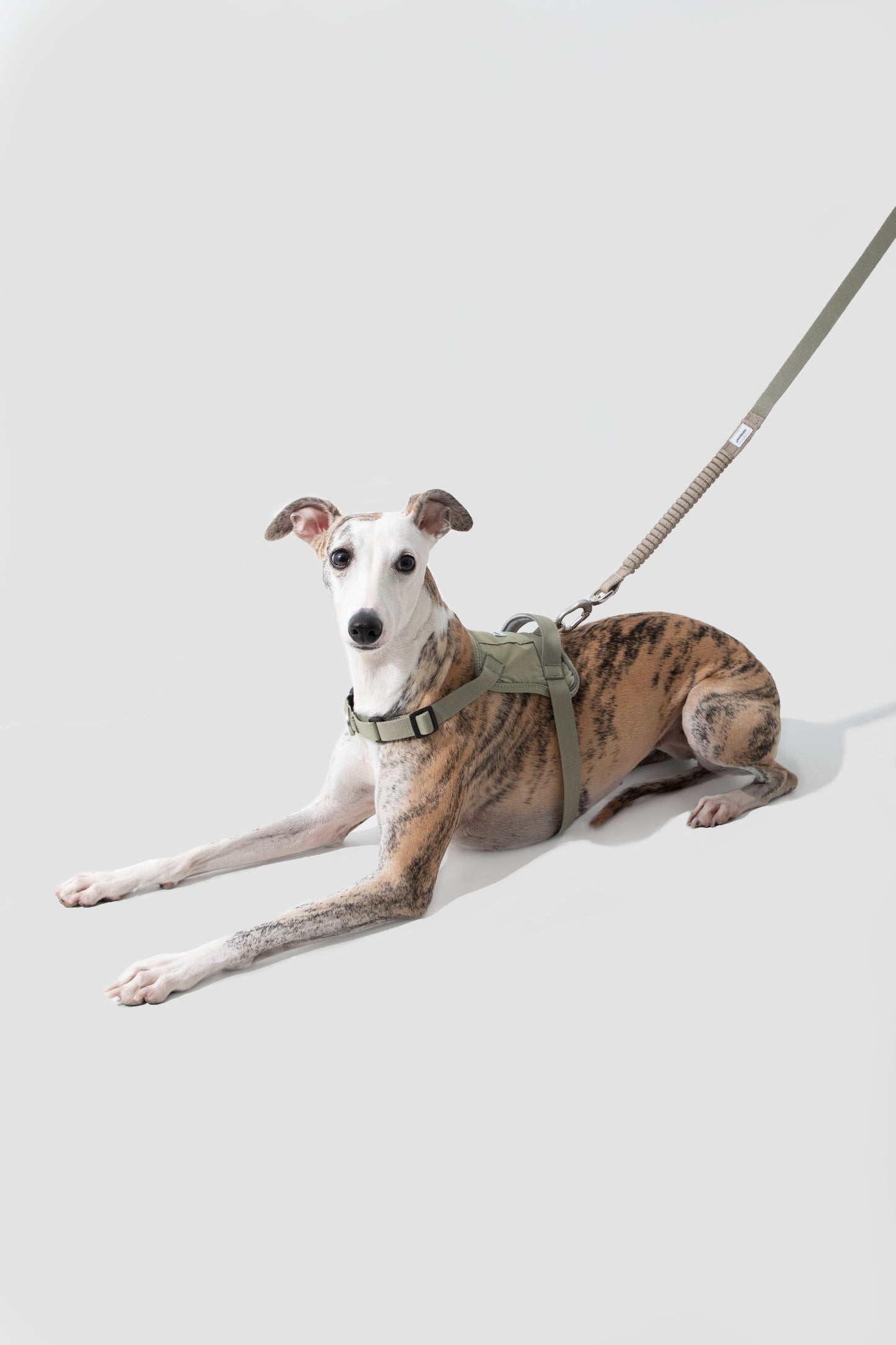 Valley Series|Quick-Fit Anti-Pull Big Harness For Dog