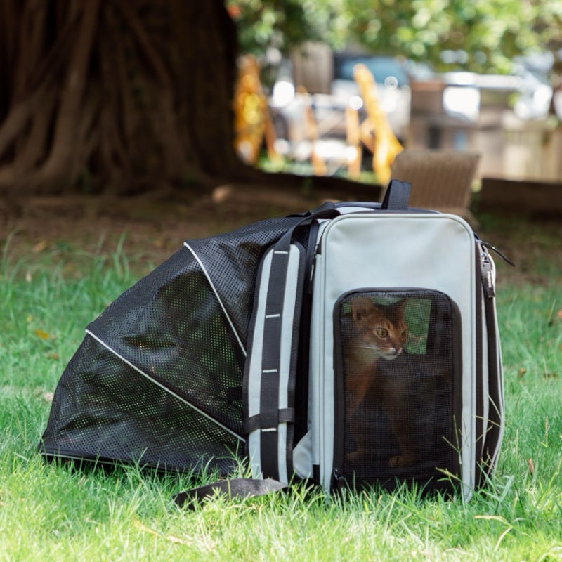 Single-sided tent dog carrier backpack