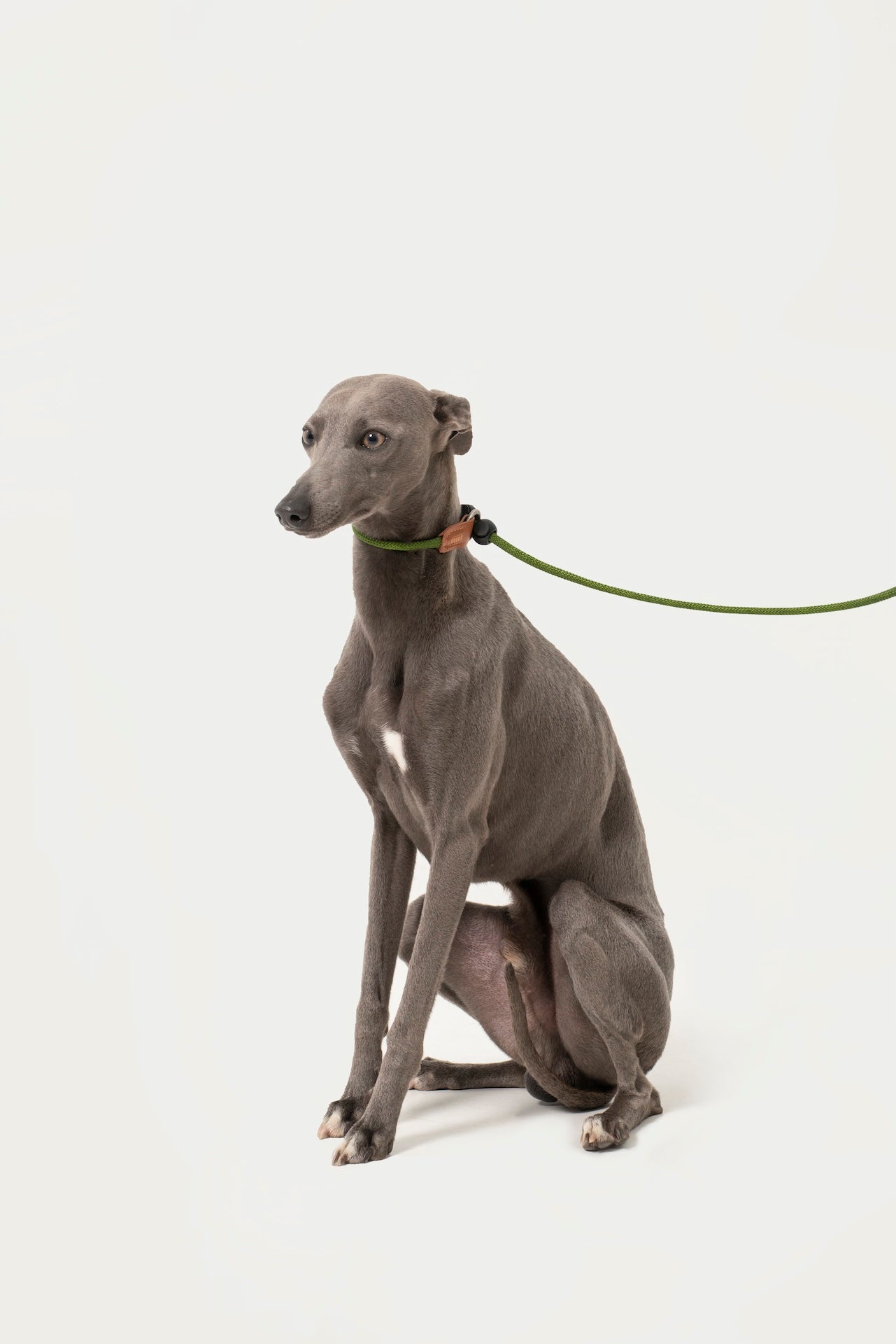 Leather Handle P-Rope Leash for Dogs