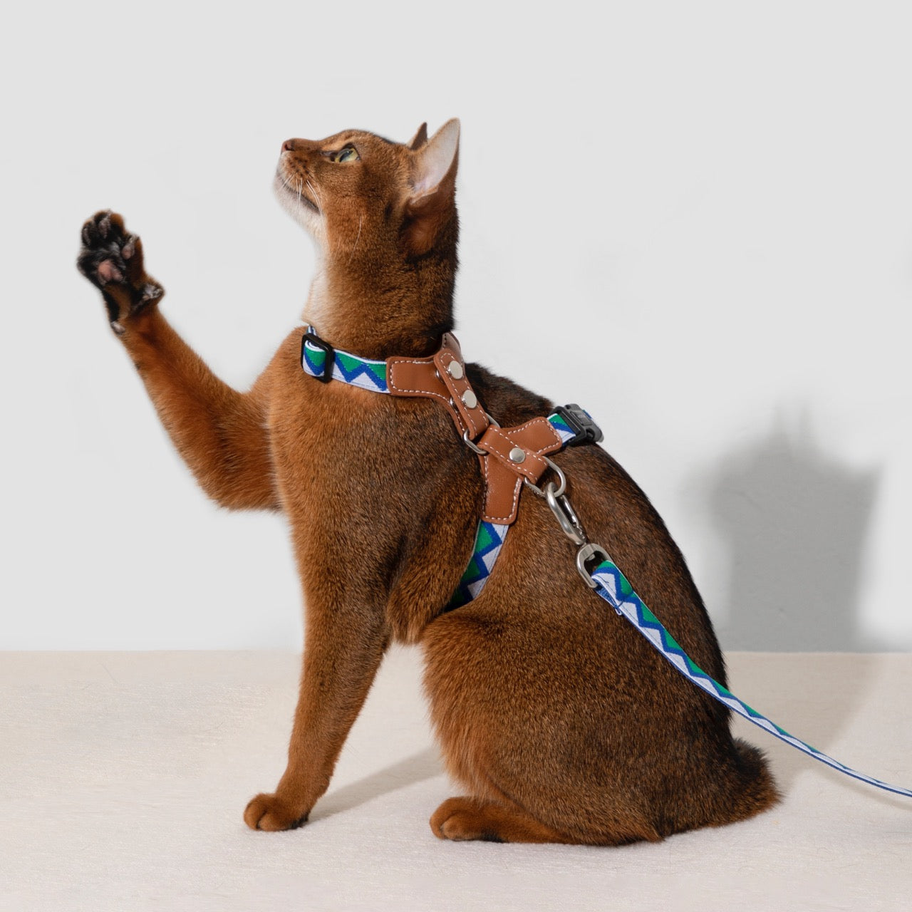 Bobo Series cat chest and back leash set
