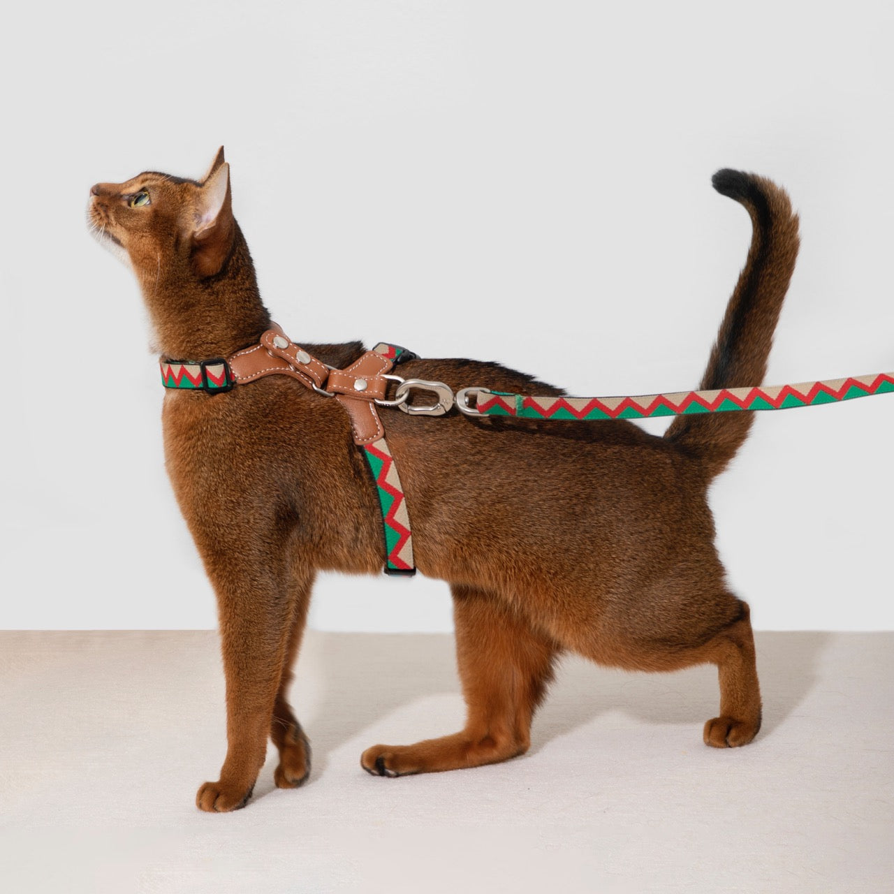 Bobo Series cat chest and back leash set