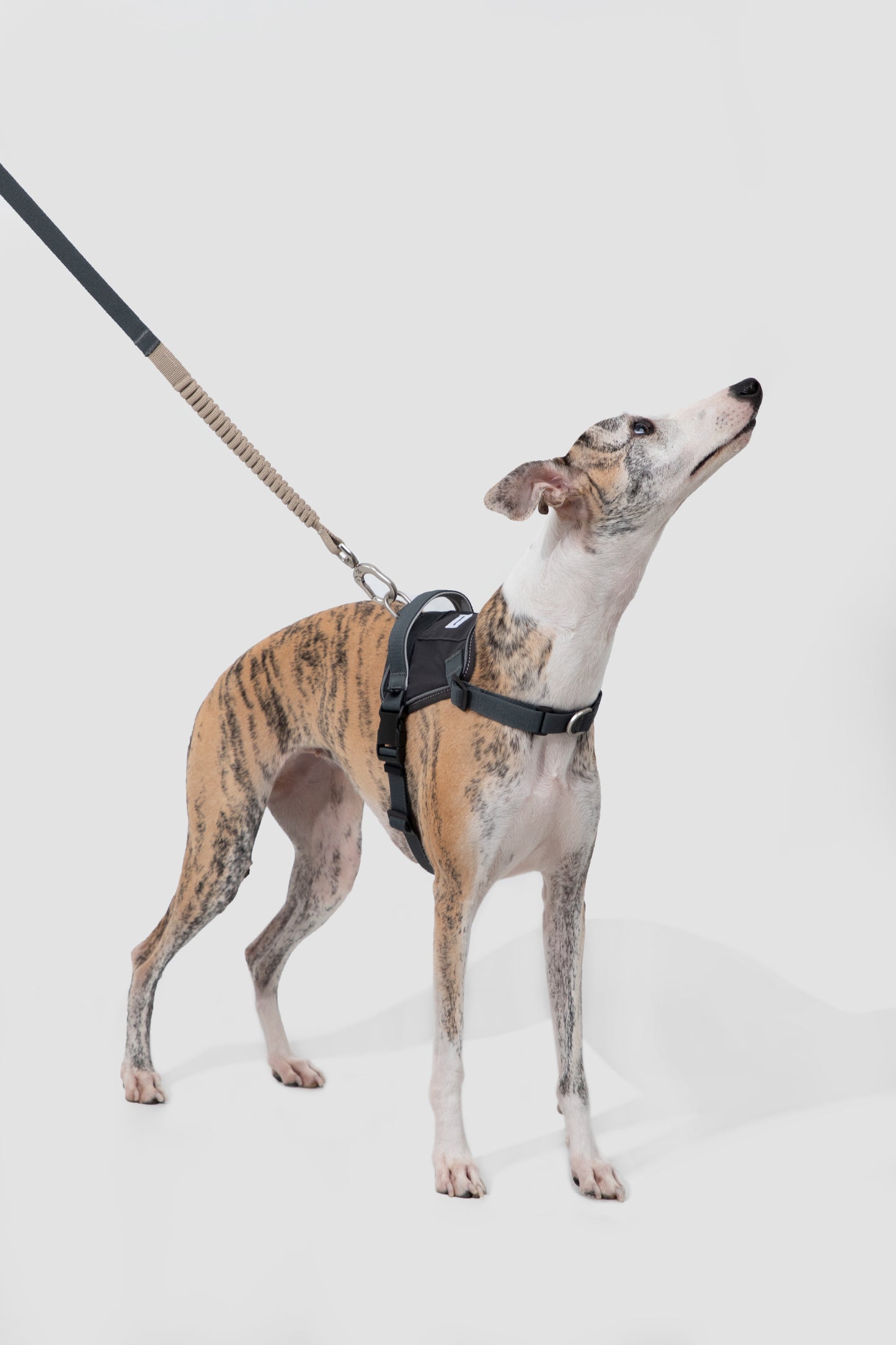 Valley Series|Quick-Fit Anti-Pull Big Harness For Dog