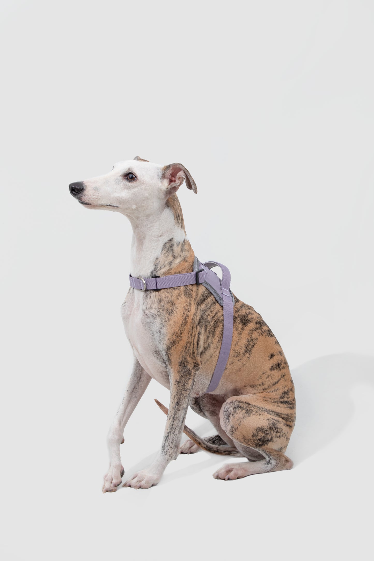 Valley Series|Quick-Fit Anti-Pull Big Harness For Dog