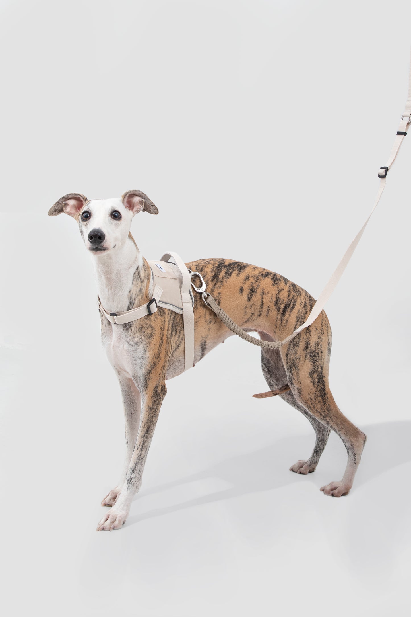 Valley Series|Quick-Fit Anti-Pull Big Harness For Dog