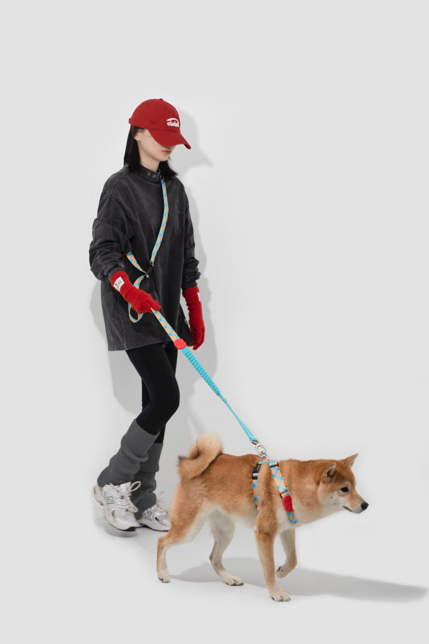 X-Shaped Dog Harness Dog Leash Exclusive New Structure Design