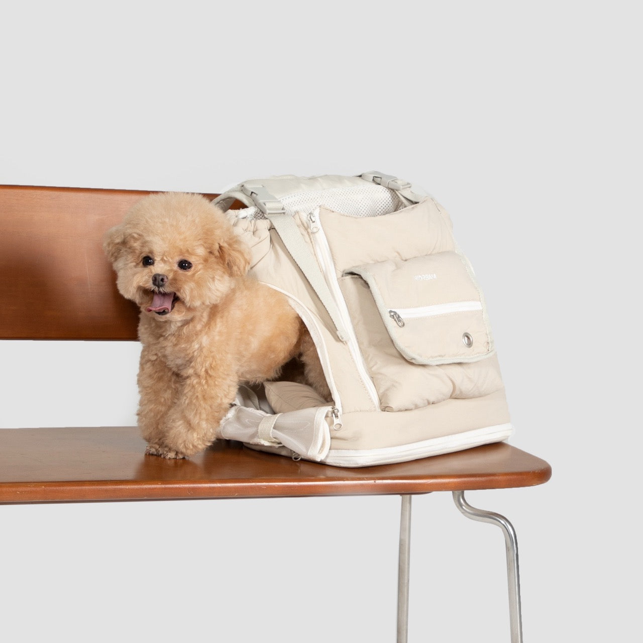 Simple&Fashionable pet chest dog carrier bag