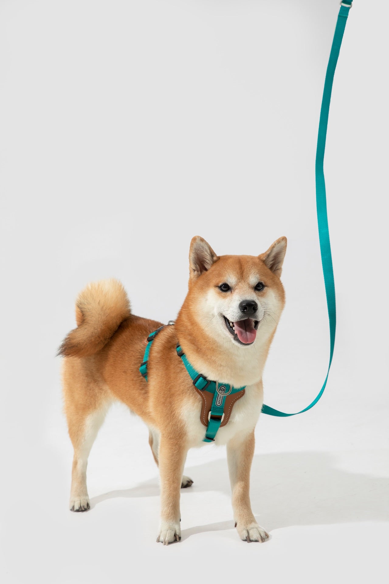 Premium H-Shaped Big Harness For Dog