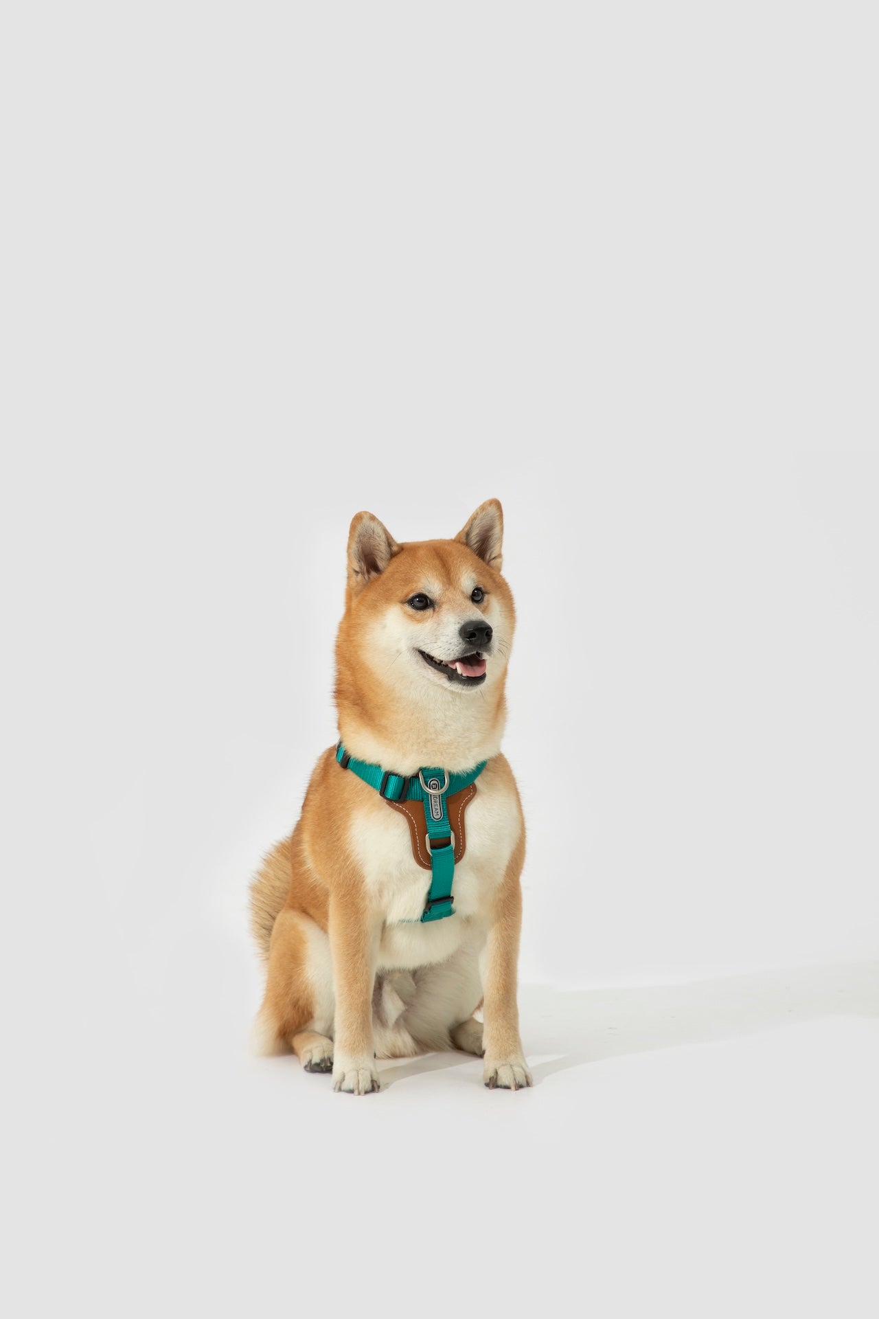 Premium H-Shaped Big Harness For Dog