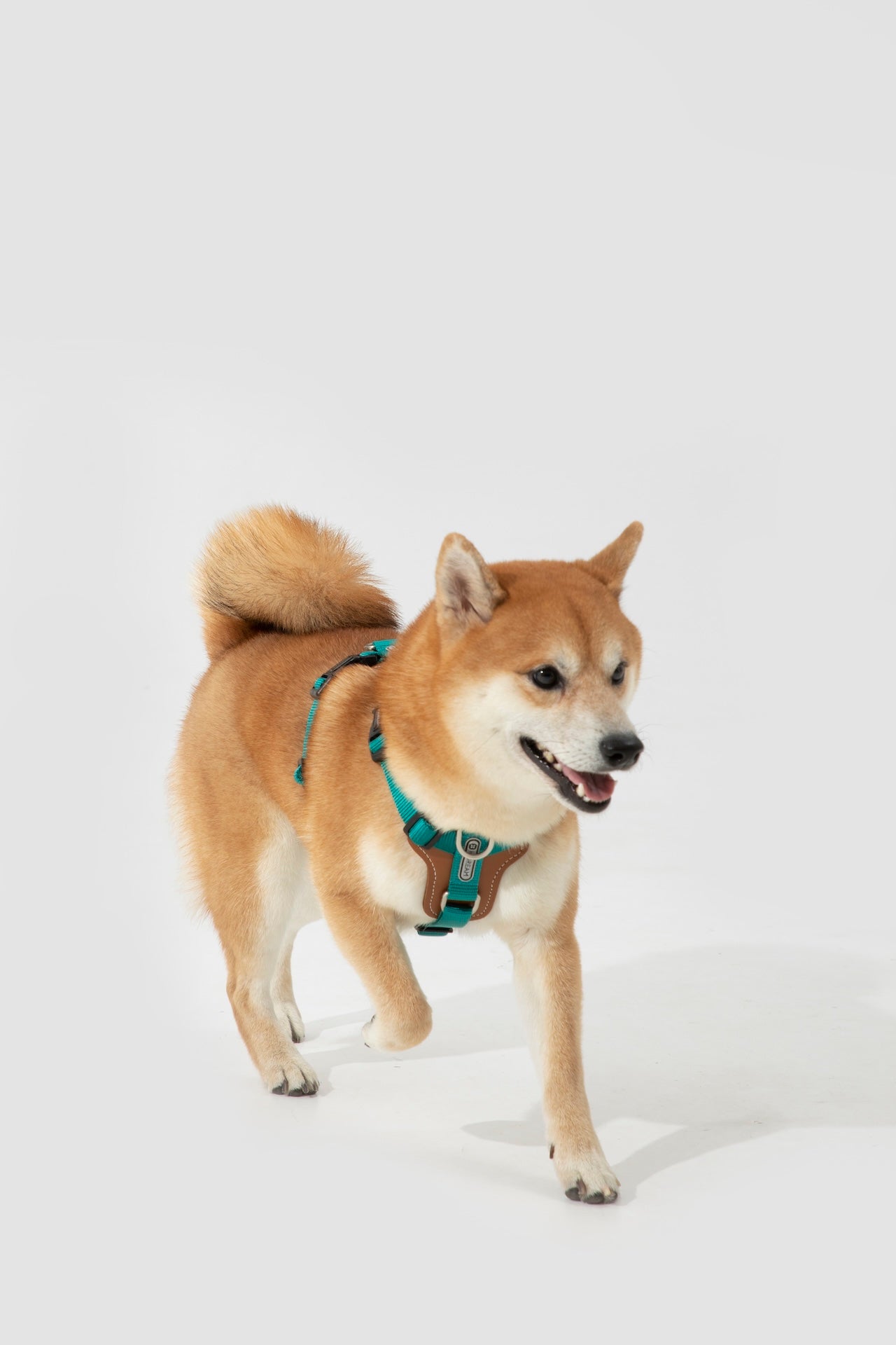 Premium H-Shaped Big Harness For Dog