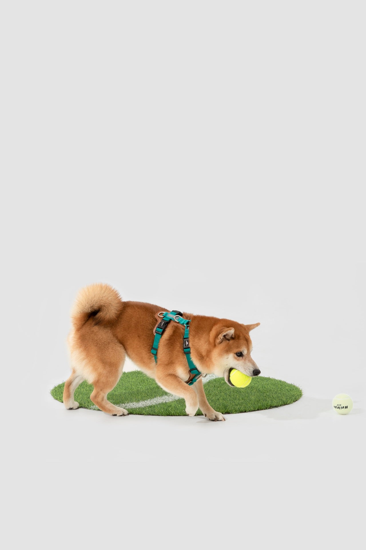 Premium H-Shaped Big Harness For Dog
