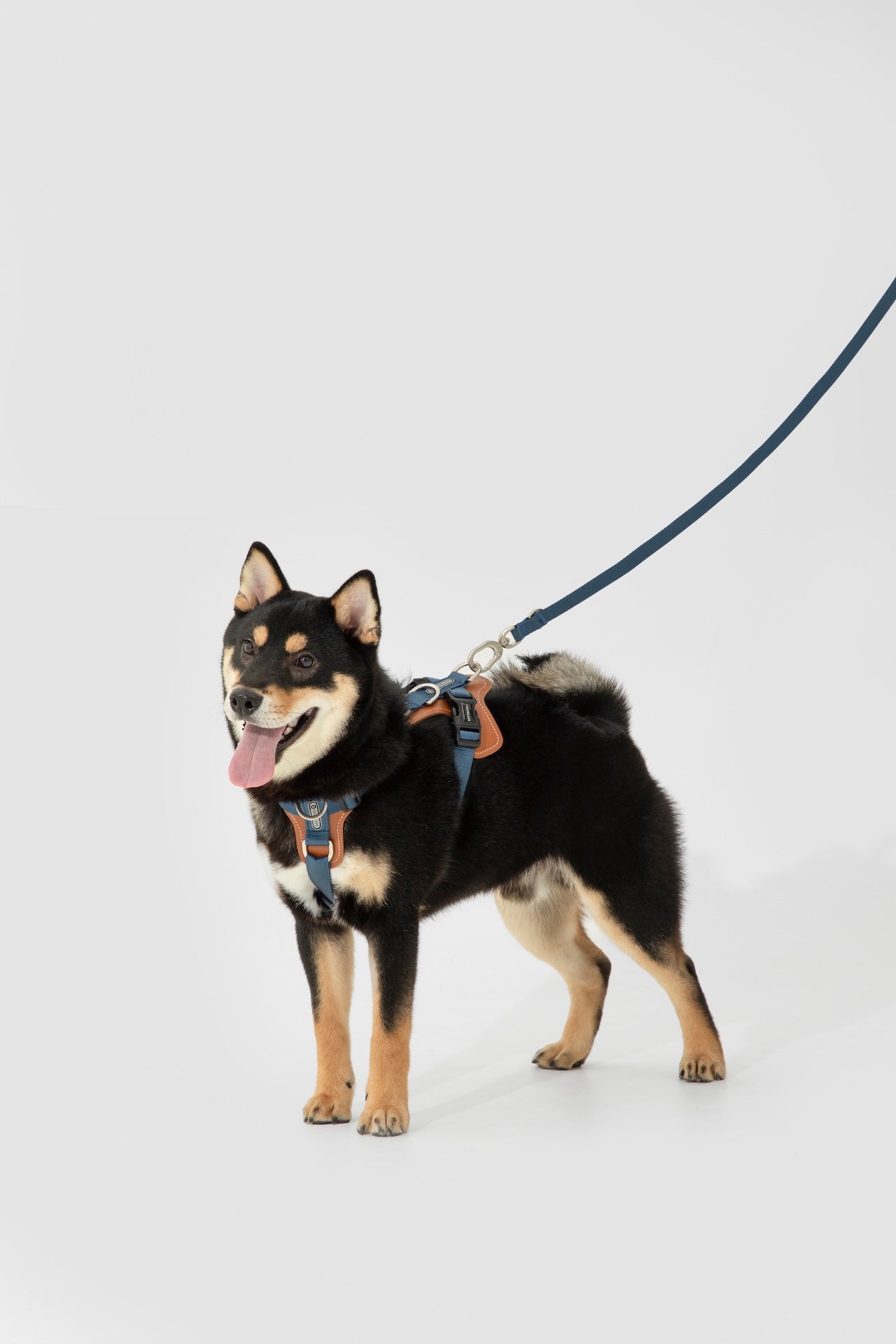 Premium H-Shaped Big Harness For Dog