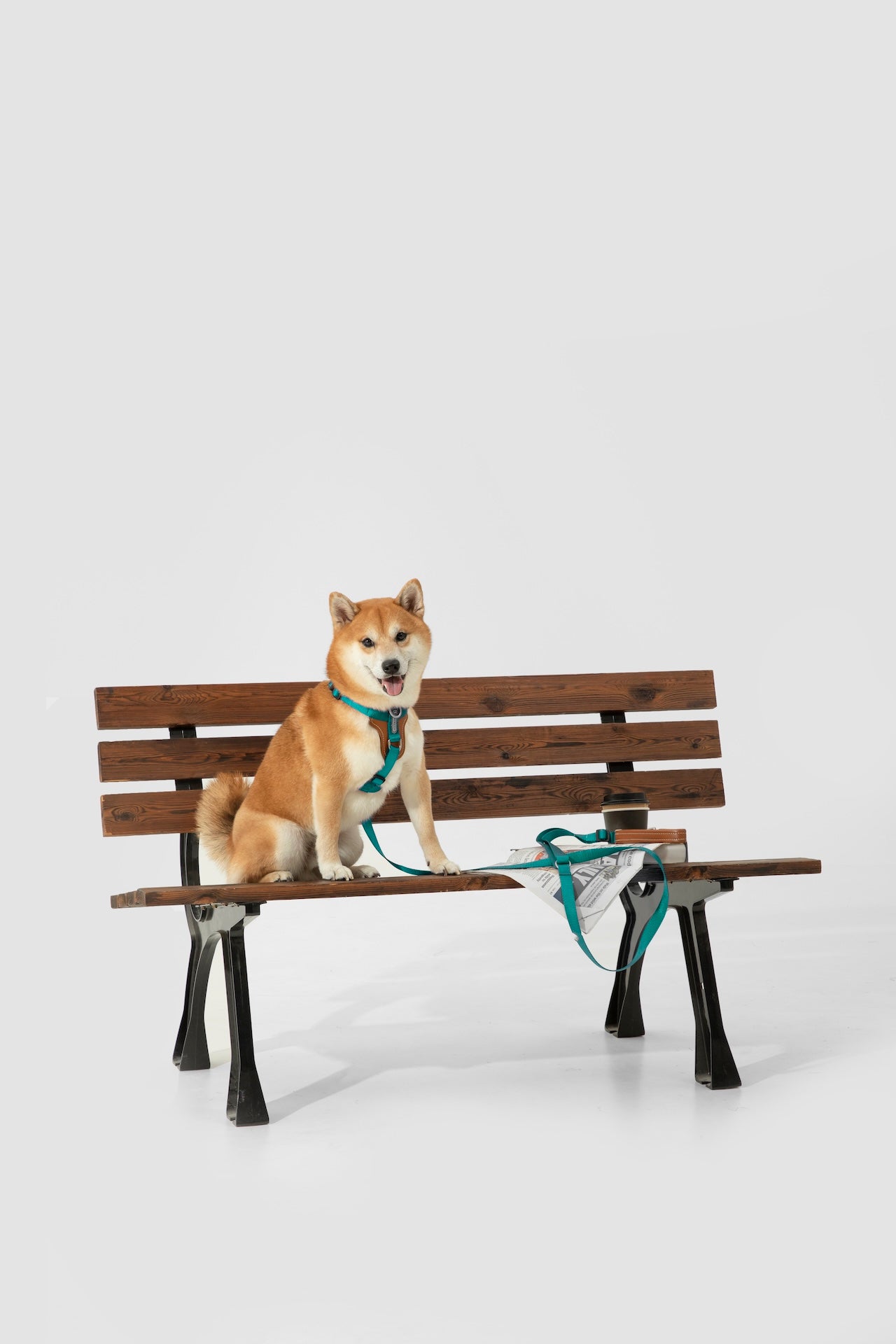 Premium H-Shaped Big Harness For Dog