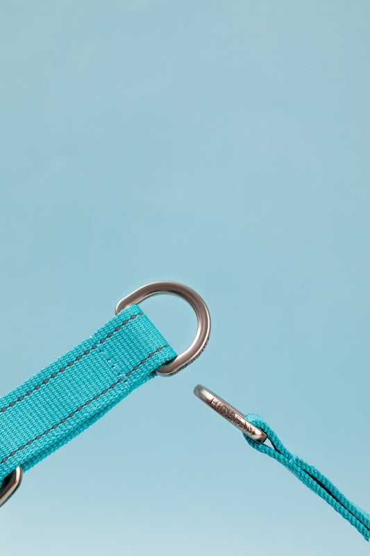 Semi-P Adjustable Dog In Collar with Quick-Release