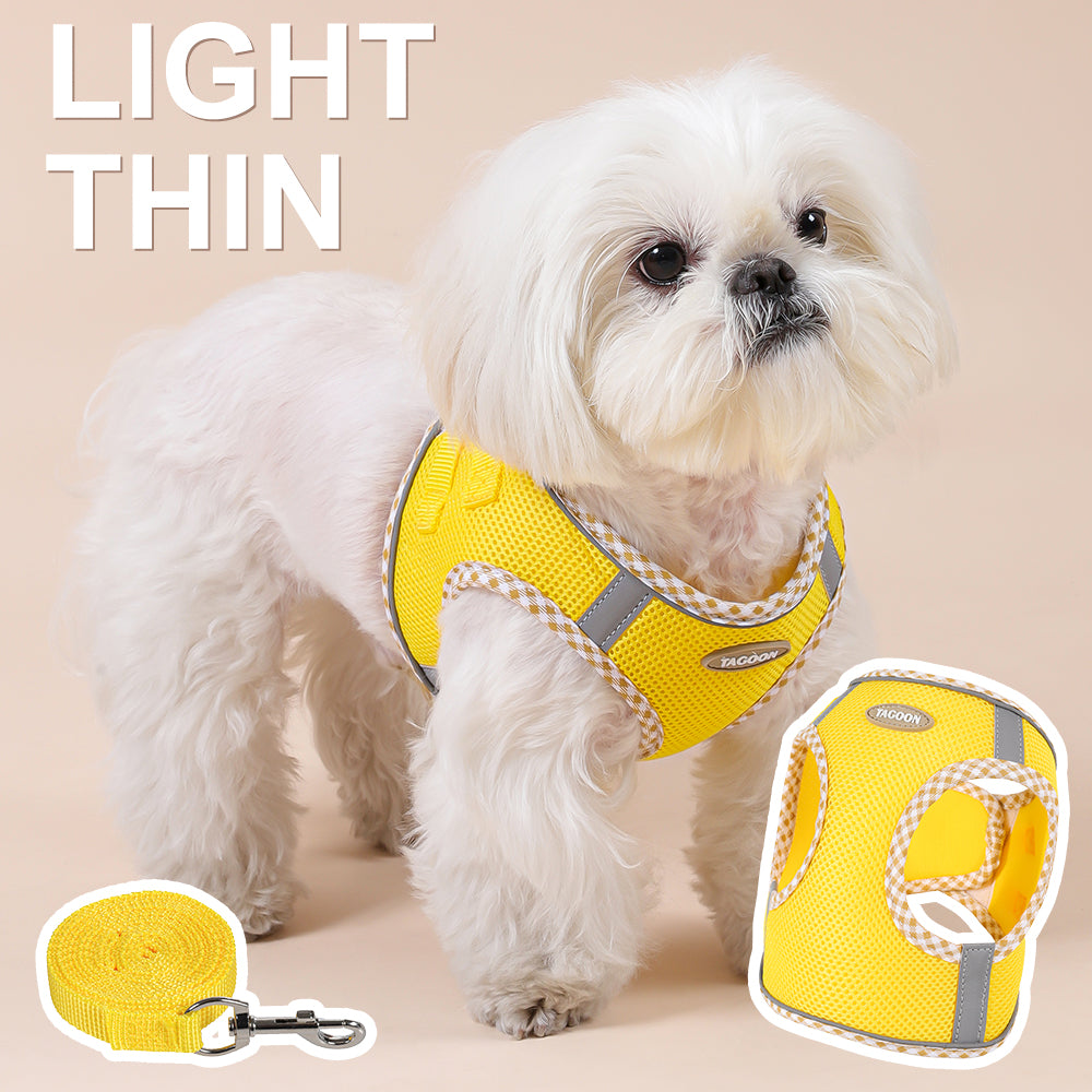 Colorful & BreathableDog Harness And Leash Set
