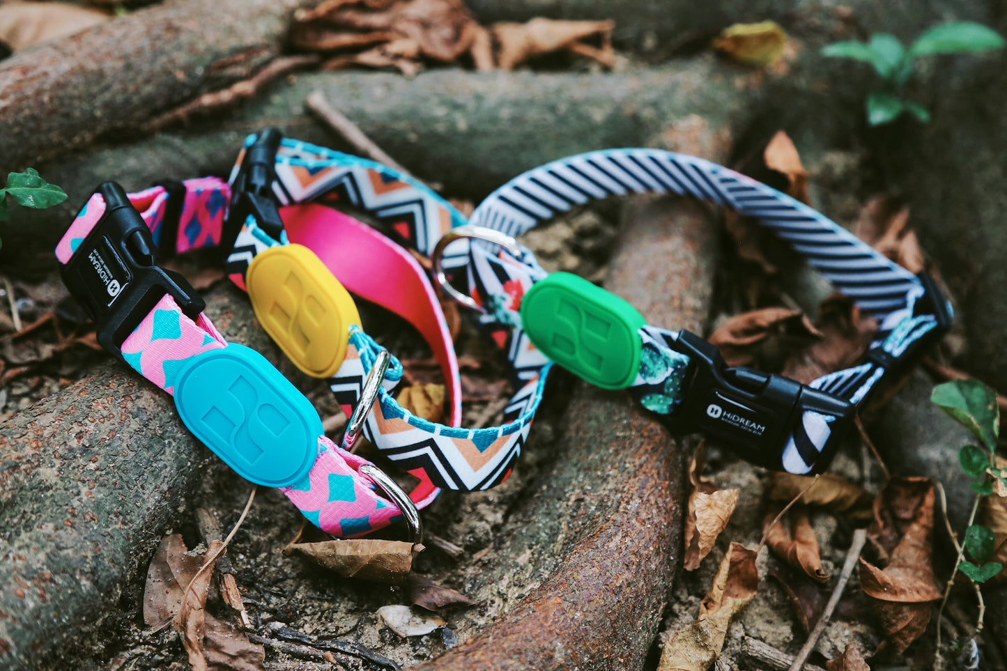 Colorful Secure & Comfort Dog Collar