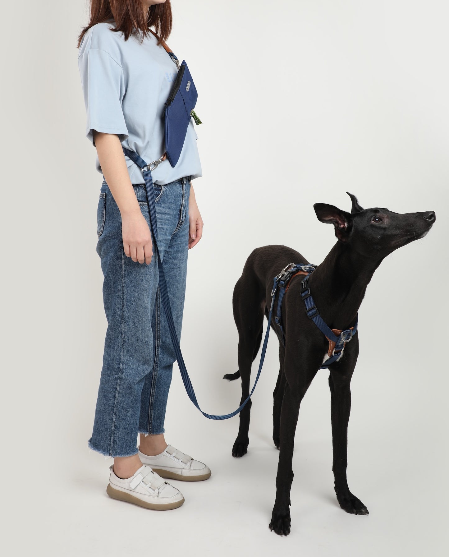 Multi-Functional Adjustable Crossbody Nylon Dog Leash