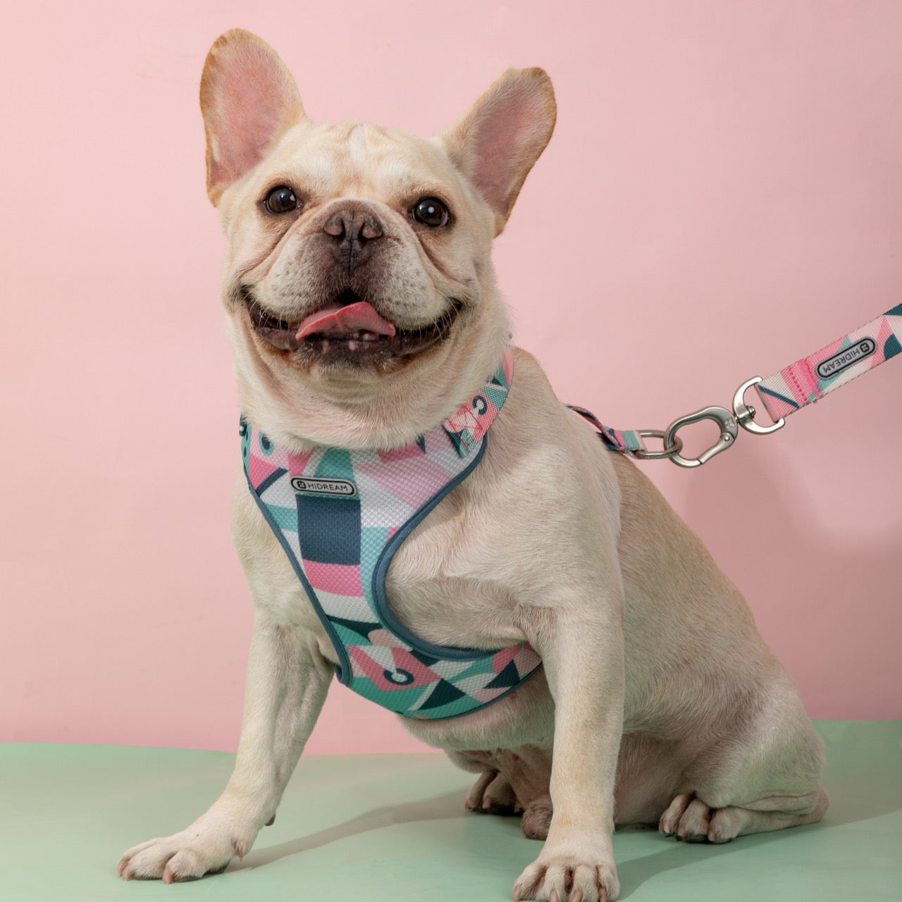 Best Dog Harness Dog Leash