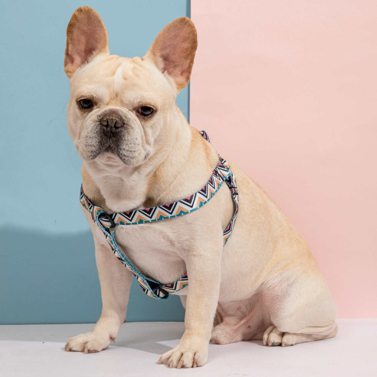 Totem Colorful Dog Harness Leashes