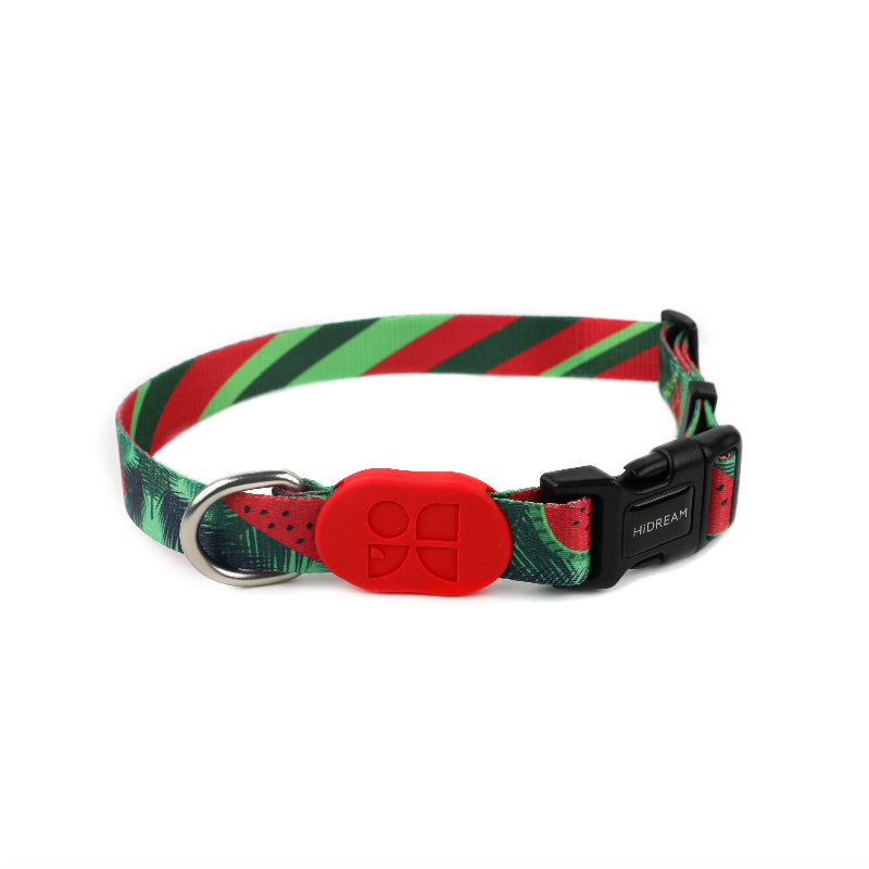 Colorful Secure & Comfort Dog Collar
