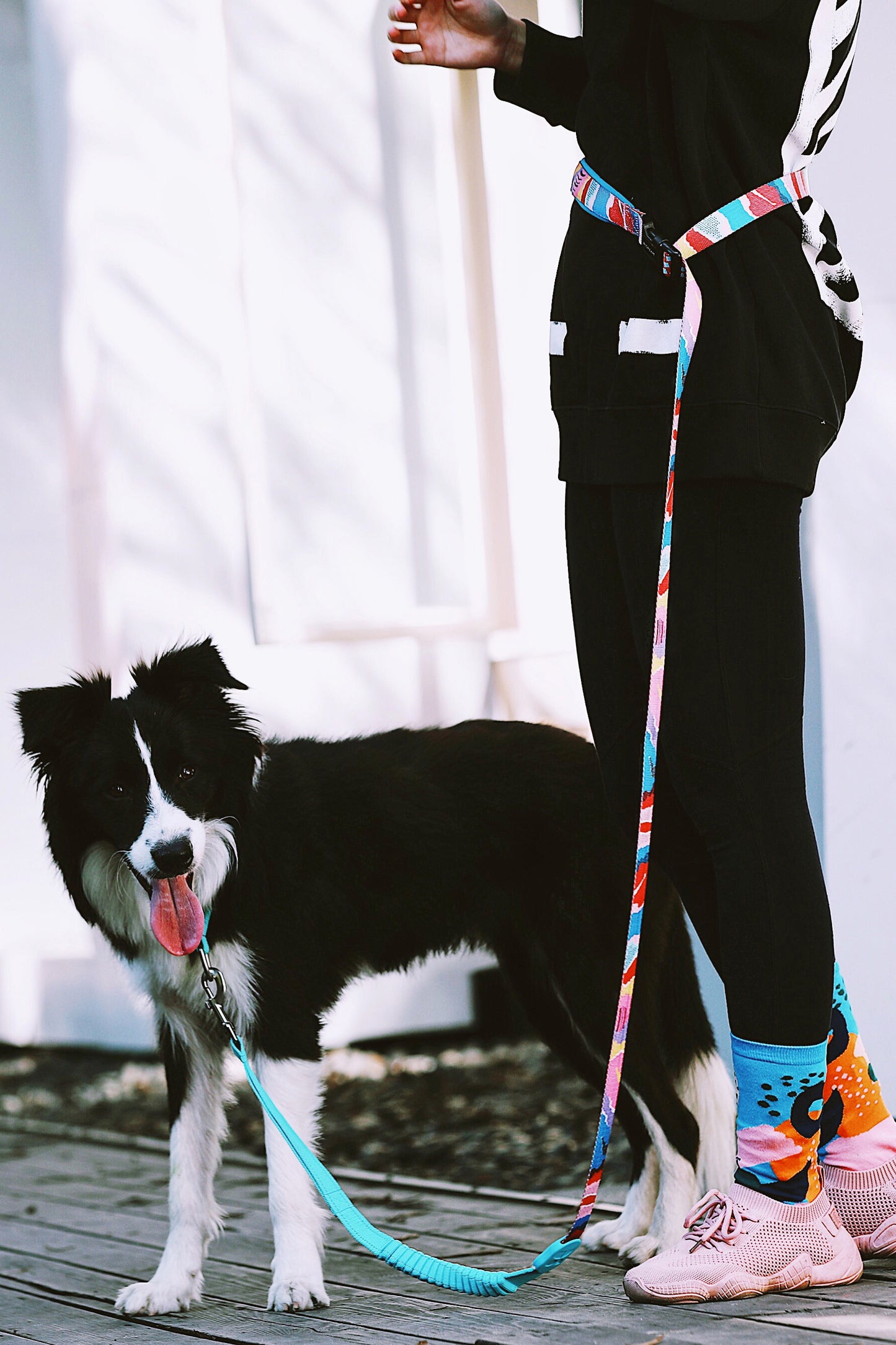 Adjustable Dog Leash – Comfort & Control in One