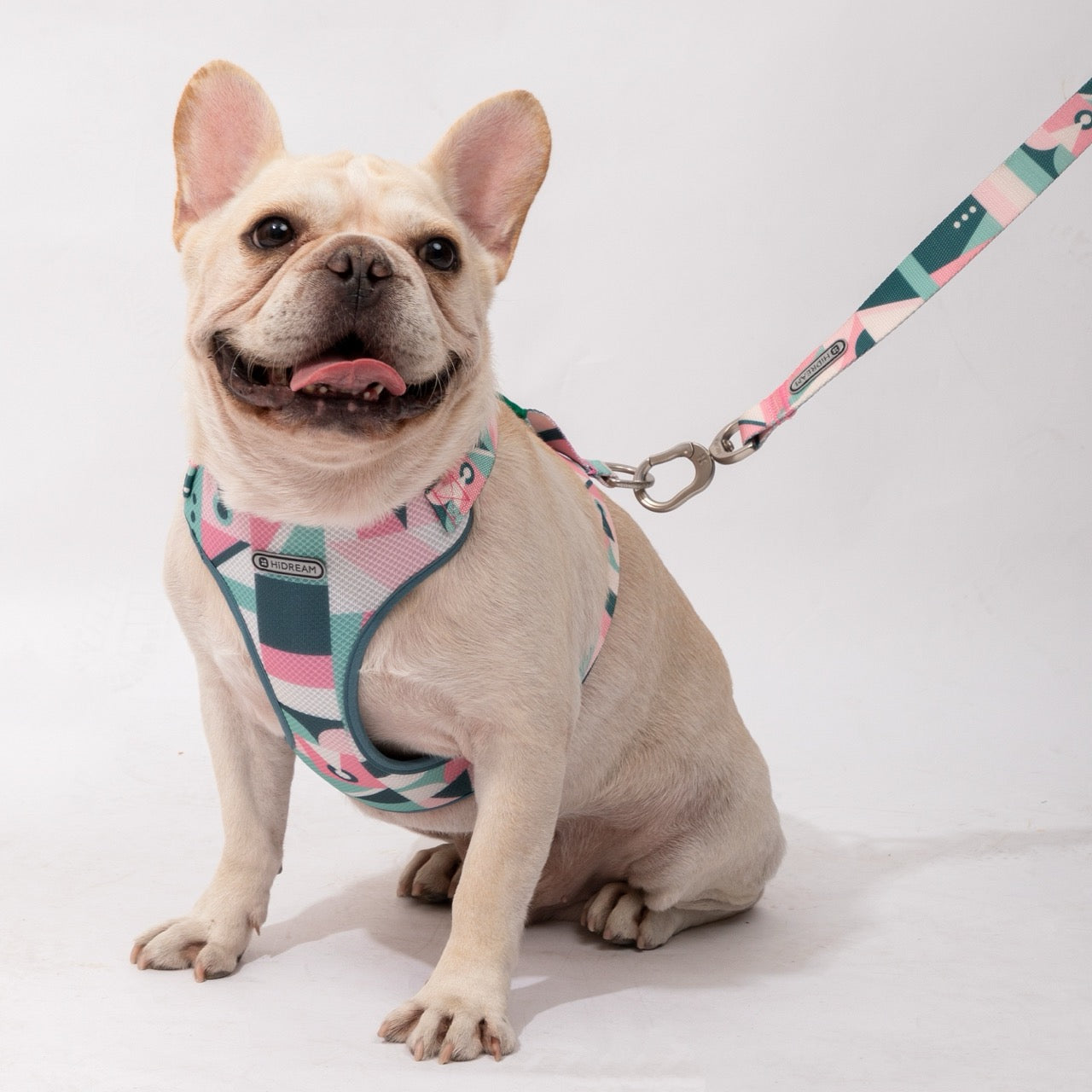 Best Dog Harness Dog Leash