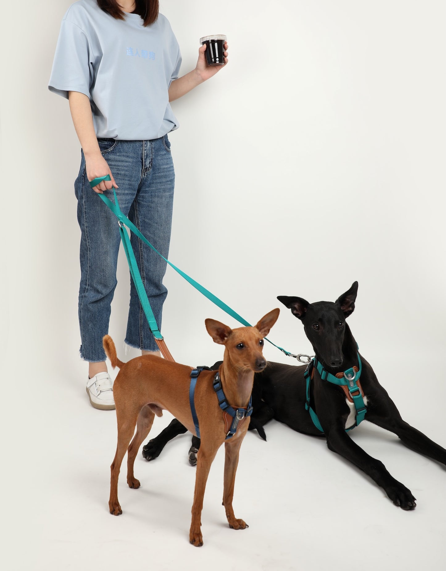 Multi-Functional Adjustable Crossbody Nylon Dog Leash