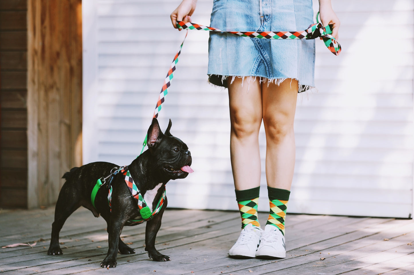 Adjustable Dog Leash – Comfort & Control in One