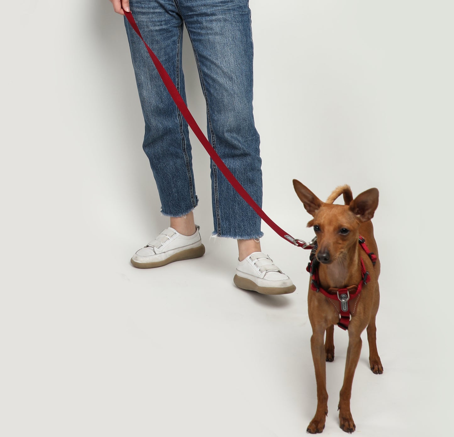 Multi-Functional Adjustable Crossbody Nylon Dog Leash