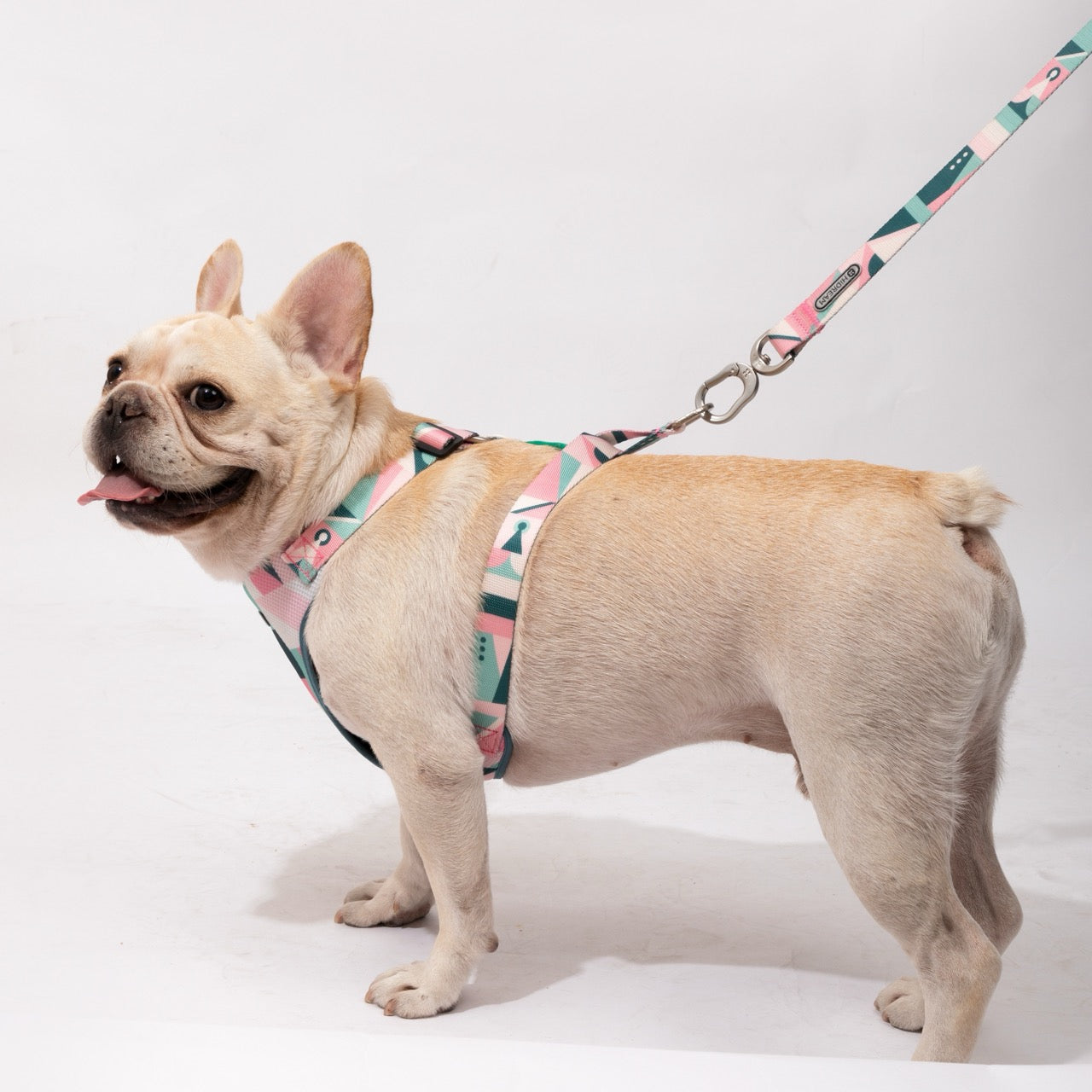Best Dog Harness Dog Leash