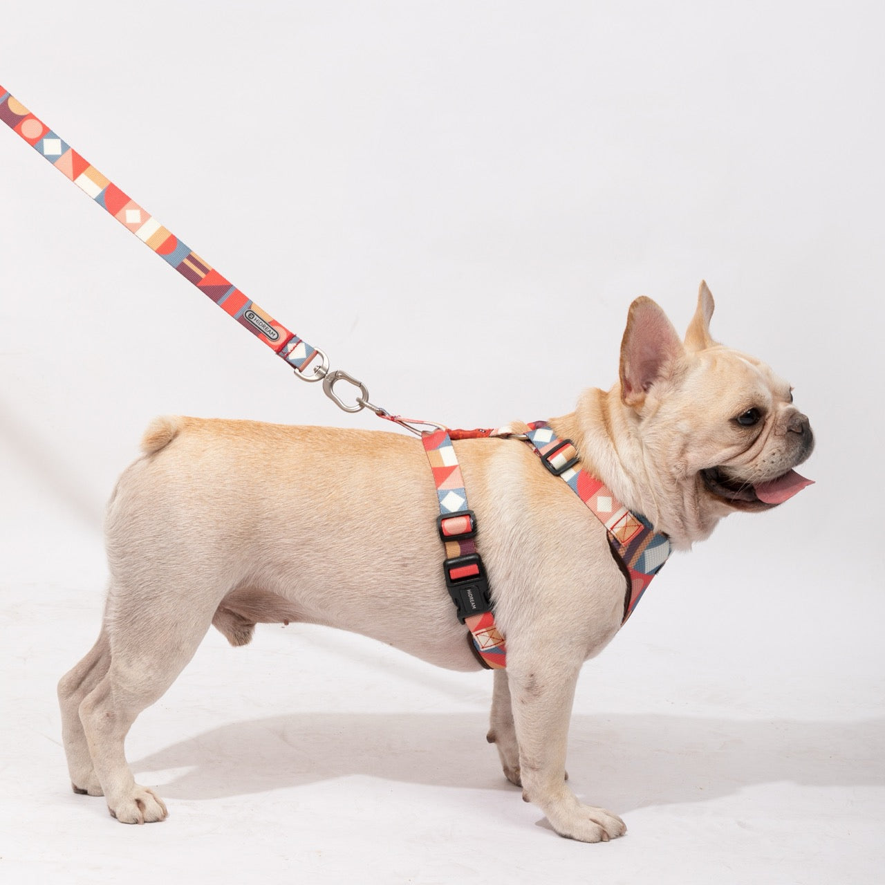 Best Dog Harness Dog Leash