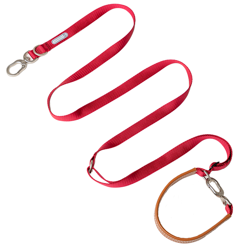Multi-Functional Adjustable Crossbody Nylon Dog Leash