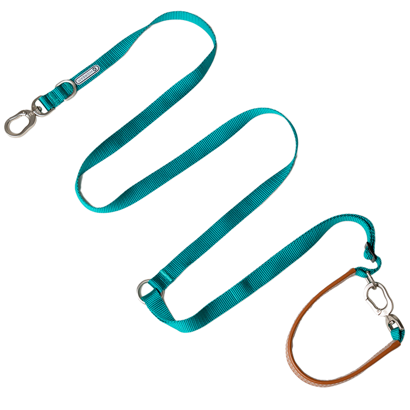 Multi-Functional Adjustable Crossbody Nylon Dog Leash