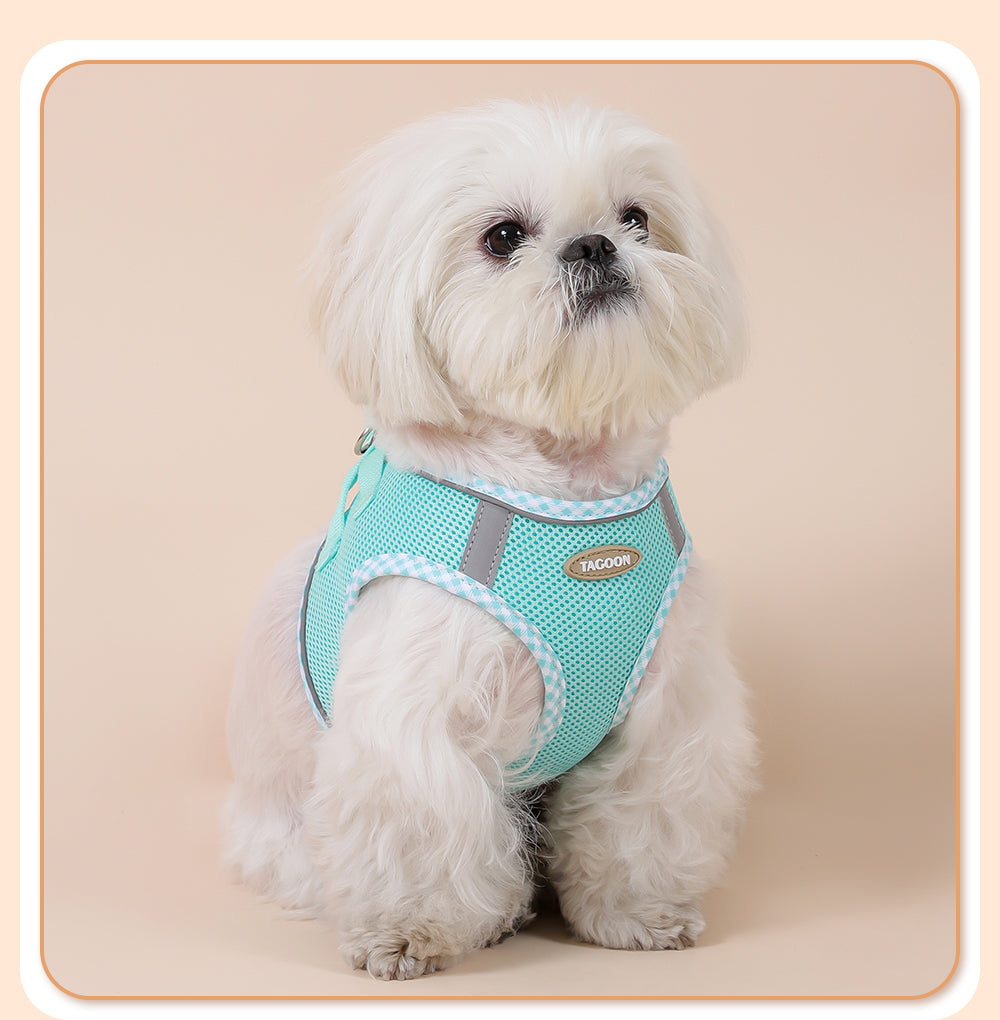 Colorful & BreathableDog Harness And Leash Set