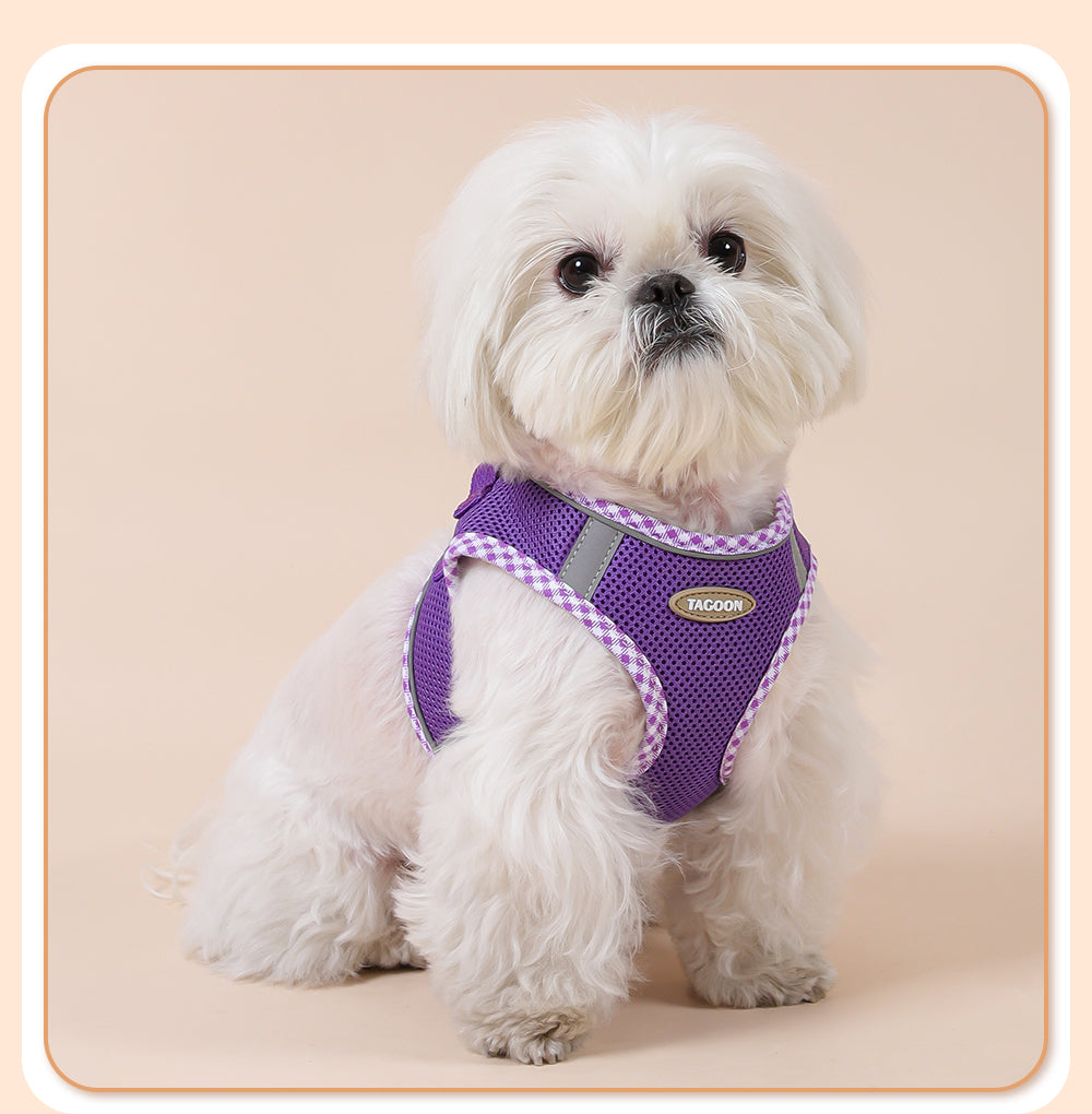 Colorful & BreathableDog Harness And Leash Set