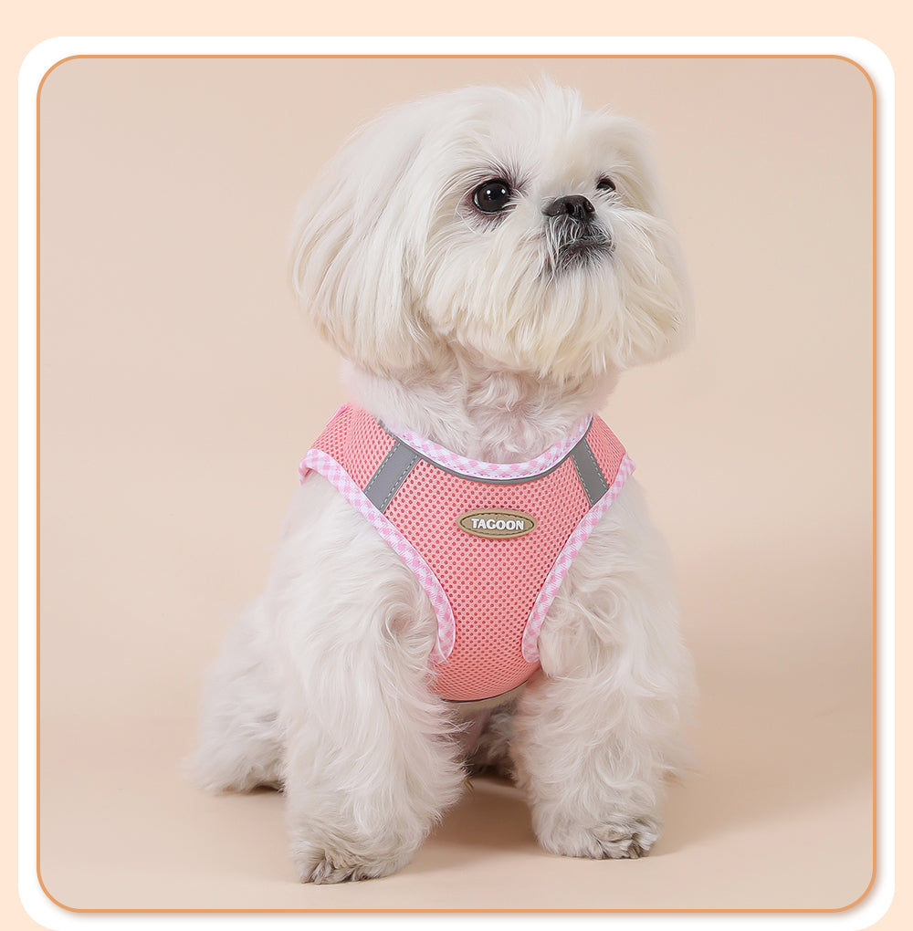 Colorful & BreathableDog Harness And Leash Set