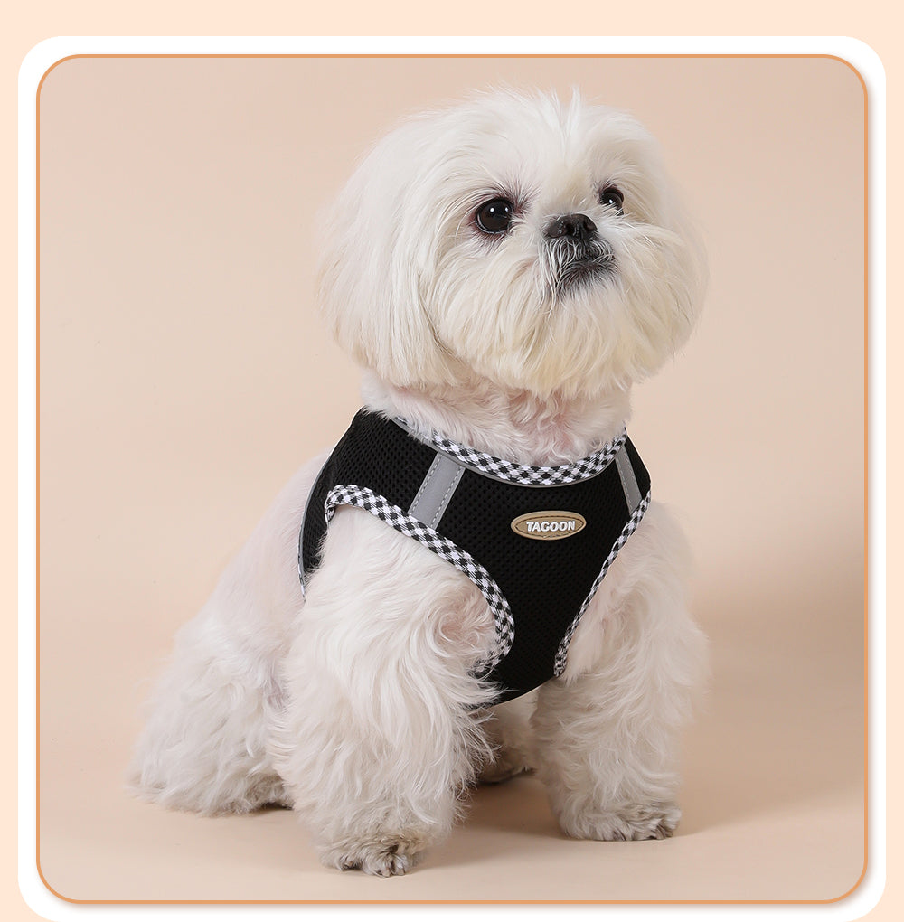 Colorful & BreathableDog Harness And Leash Set