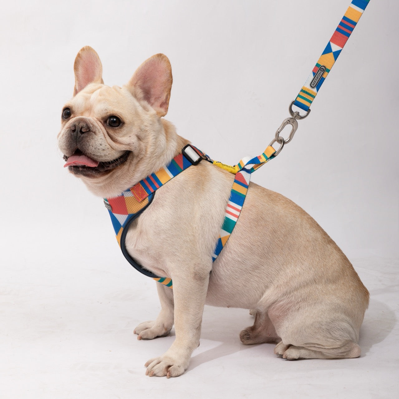Best Dog Harness Dog Leash