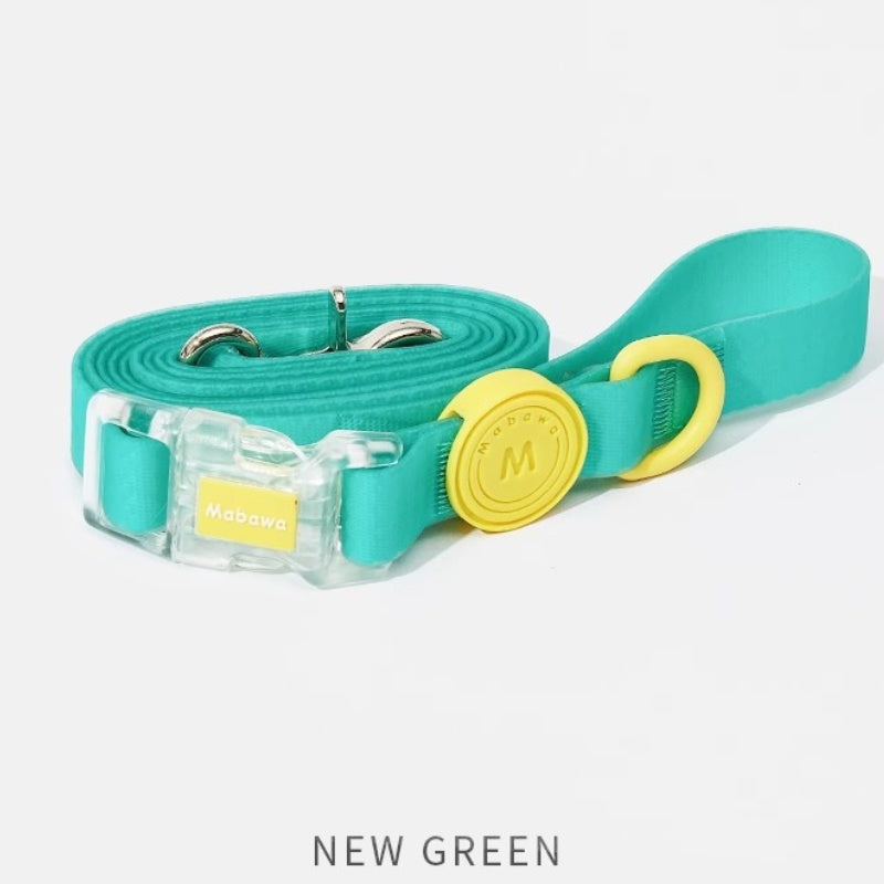 Colorful waterproof dog collar with leash