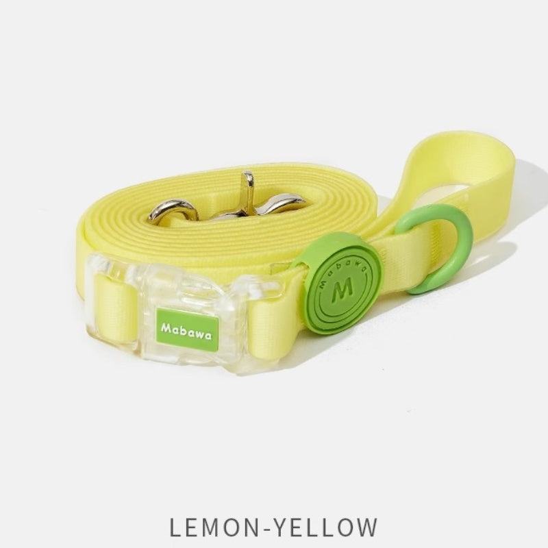 Colorful waterproof dog collar with leash