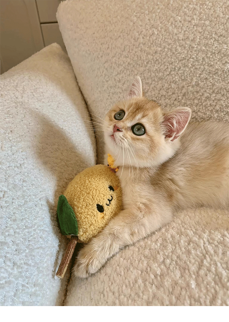 pet cat toy cat teaser pet toy