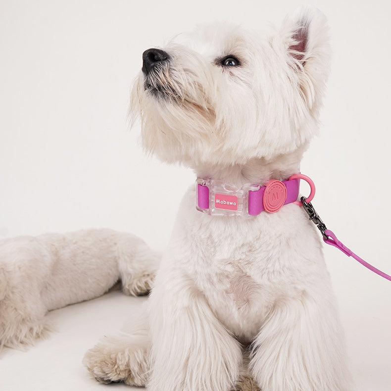 Colorful waterproof dog collar with leash