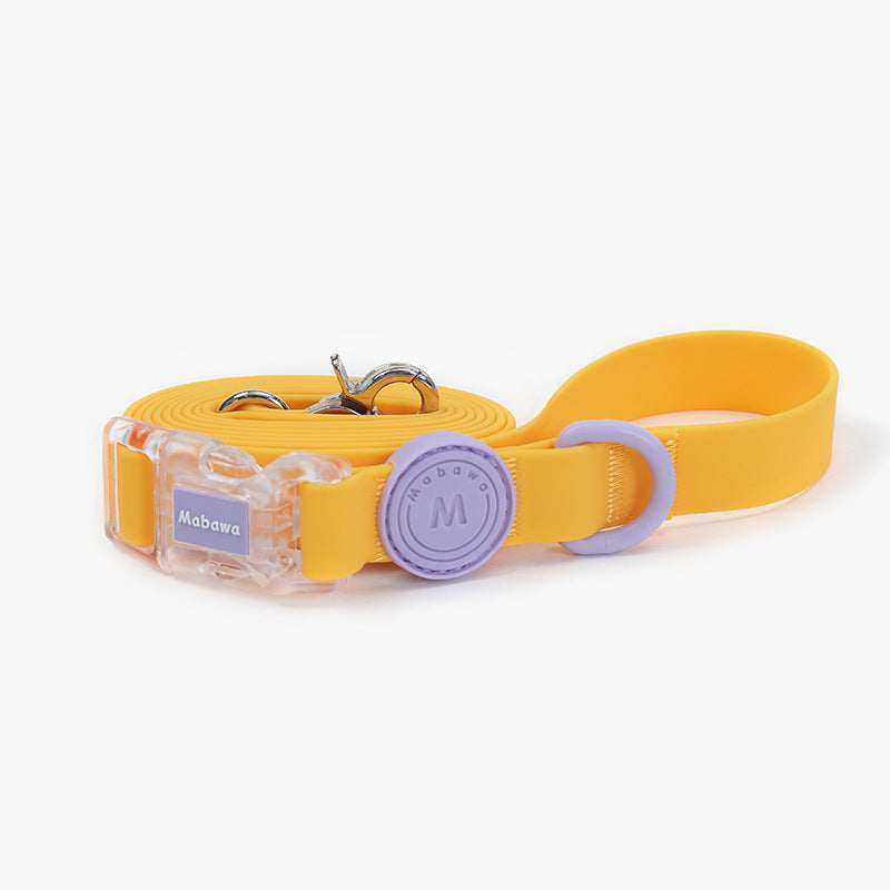 Macaron waterproof collar & leashes